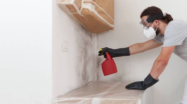 Professional Crawl Space Mold Remediation technician working in Wakefield, MI