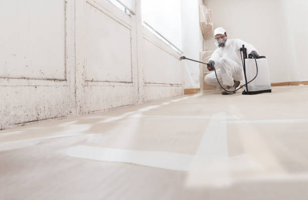 24/7 Emergency Crawl Space Mold Remediation experts in Wakefield, MI